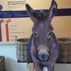 Mission Tejas State Park