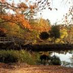 Day Trippin’ East Texas State Parks