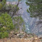 Black Canyon of the Gunnison  National Park